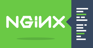 Debug NGINX variables from the request headers