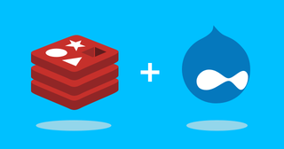 Drupal 8 and Redis, part 1: NGINX serve content directly out of a Redis cache
