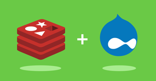 Drupal 8 and Redis, part 2: a review of the module and NGINX configuration